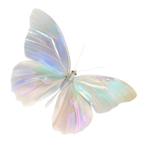an iridescent moth