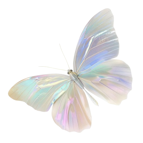 an iridescent moth